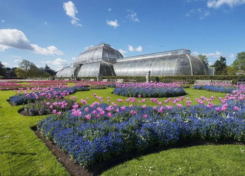 云南花卉業(yè) 以荷蘭為師，構(gòu)筑亞洲花都新愿景