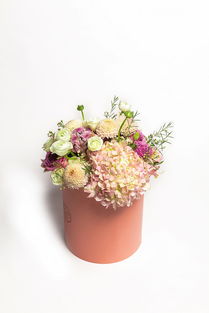 花卉攝影藝術(shù) 如何拍出令人心動(dòng)的鮮花產(chǎn)品照