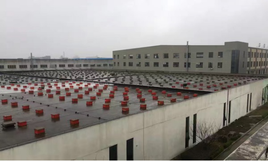 閑置屋頂變能源寶庫 天愛能源攜手潤達光伏，604.8kW綠色電站點亮未來